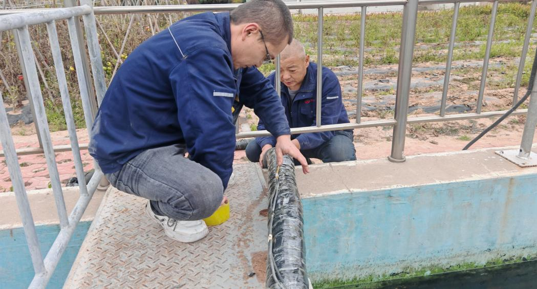 圖片4.png 圖片4.png